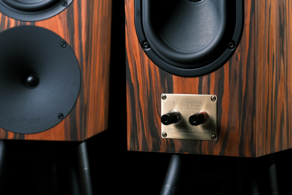 S400 MKII Custom Signature Edition - Fauna